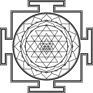 Ablauf & Kosten